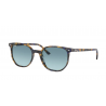 Gafas de sol Ray-ban Elliot RB2197 11563M_52