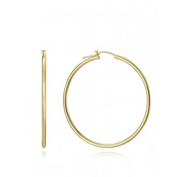 Pendientes Aros Viceroy...