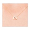 Inicial Con Cadena  Redonda Oro 1 Ley