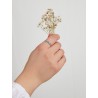 Sortija Mujer Plata Marea Jewels D02706/aa14