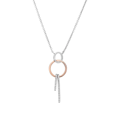 Gargantilla Plata Bicolor