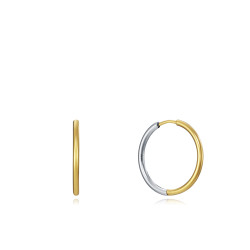 Pendientes Viceroy Air de acero bicolor en color acero e IP dorado 75317E01012