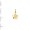 Colgante Estrella Chapa 7mm Brillo