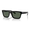 Gafas De Sol RAY-BAN RB4396 667771 54
