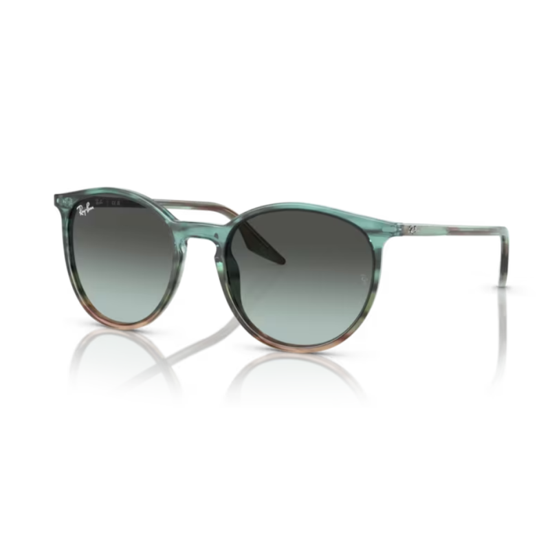 Gafas De Sol Ray-Ban RB2204 1394GK