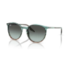 Gafas De Sol Ray-Ban RB2204 1394GK