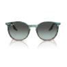 Gafas De Sol Ray-Ban RB2204 1394GK