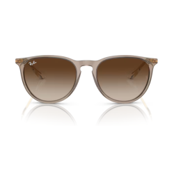 Gafas de sol Ray-ban Erika Classic RB4171 674413