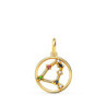COLGANTE ORO AMARILLO HOROSCOPO CAPRICORNIO CONSTELACIONES CIRCONITAS 12 MM 18 Kilates