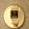 Reloj Casio Analogico digital Vintage Dorado Unisex Esfera Marrón Aq-230ga-5amqyes