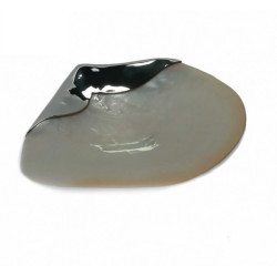 Concha bautismo madreperla...