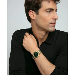 Reloj Viceroy Acero Dorado 5 atm Cuarzo Esfera Verde 401433-67