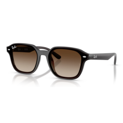 Gafas de sol Ray-ban...