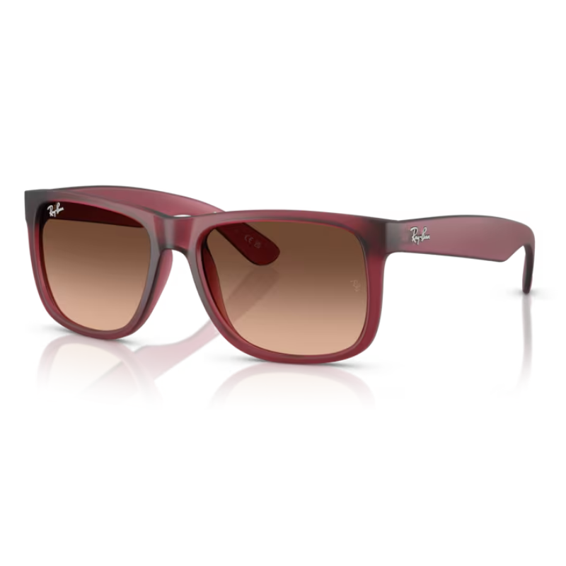 Gafas de sol Ray-ban RB4165 6815A5