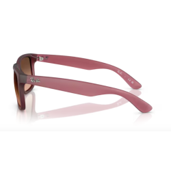 Gafas de sol Ray-ban RB4165 6815A5