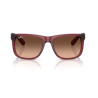 Gafas de sol Ray-ban RB4165 6815A5