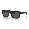 Gafas De Sol Ray-Ban RB4396 667771_57