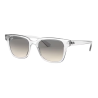 Gafas de sol Ray-ban RB4323 644732