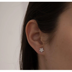 Pendientes de Plata 925 en Forma de Estrella con Circonitas Blancas  Joyas para Mujer y Niña Lineargent16374-W-A
