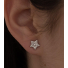 Pendientes de Plata 925 en Forma de Estrella con Circonitas Blancas  Joyas para Mujer y Niña Lineargent16374-W-A