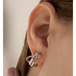 Pendientes Plata Circonitas Mujer Cierre Omega