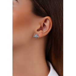 Pendientes de Plata 925 en Forma de Estrella de Mar con Circonitas Lineargent 18475-A