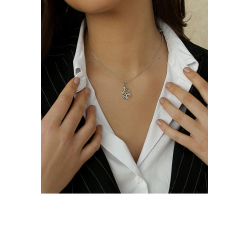 Colgante de Plata 925 Bicolor con Circonitas – Motivo de 2 cm y Cadena Corta – Lineargent 20166-PE