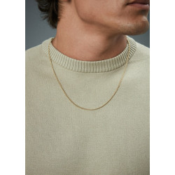 Collar Viceroy de hombre en acero IP dorado14341c01012