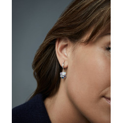 Pendientes Viceroy Plata 2342e000-39