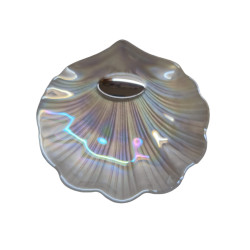 Concha De Bautismo De Cristal (nacar) 09314-6s
