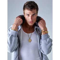 Collar de Hombre con Cabeza de León en Dorado y Circonitas