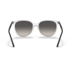 Gafas de sol Ray-ban RB4378 647711 54