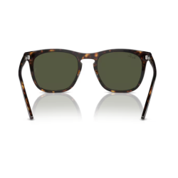 Gafas de sol Ray-ban RB2210 902/31 53