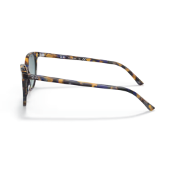 Gafas de sol Ray-ban Elliot RB2197 11563M pasta degradada