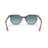 Gafas de sol Ray-ban Elliot RB2197 11563M pasta degradada