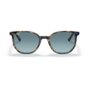 Gafas de sol Ray-ban Elliot RB2197 11563M pasta degradada