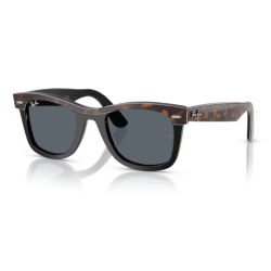 Gafas de sol Ray-ban Wayfarer RB2240 1441R5 50