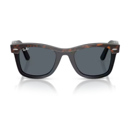 Gafas de sol Ray-ban Wayfarer RB2240 1441R5 50